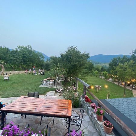 Vila Disha Tirana Bagian luar foto