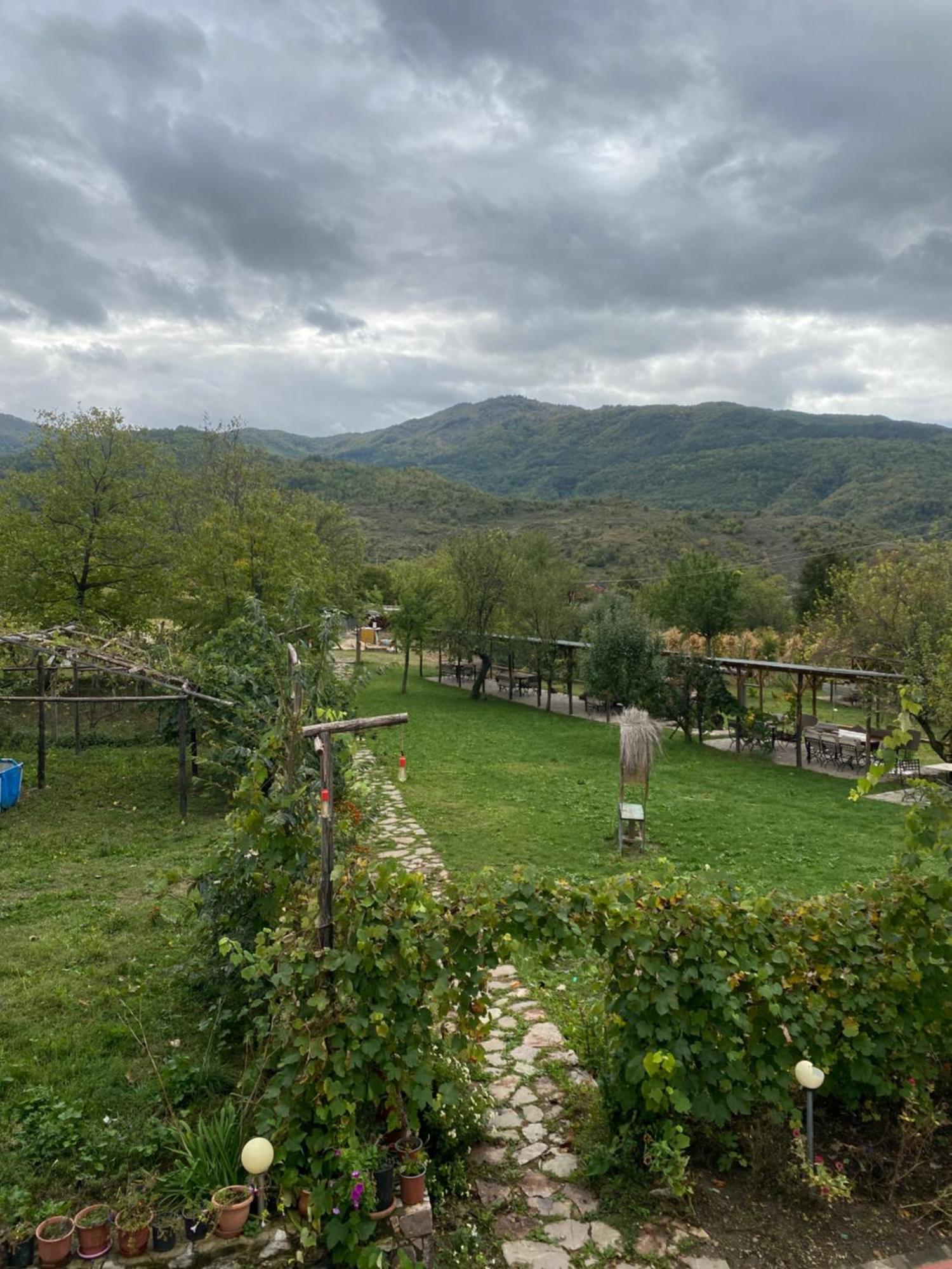 Vila Disha Tirana Bagian luar foto