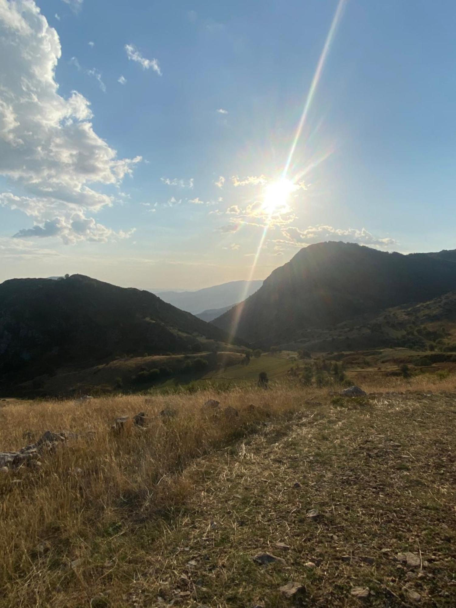 Vila Disha Tirana Bagian luar foto