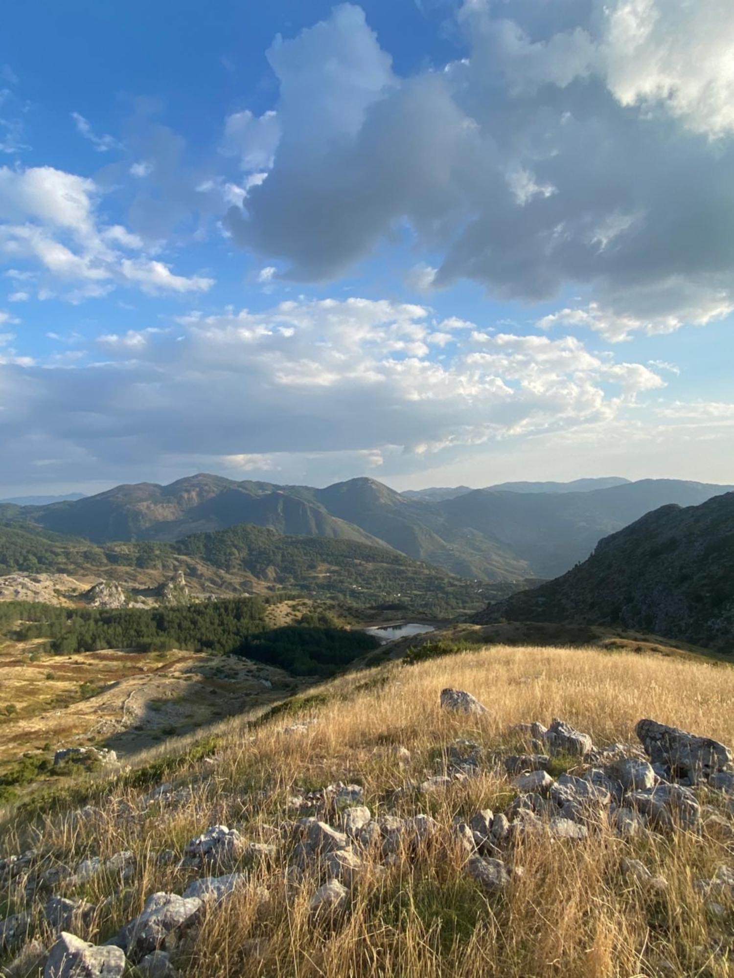 Vila Disha Tirana Bagian luar foto