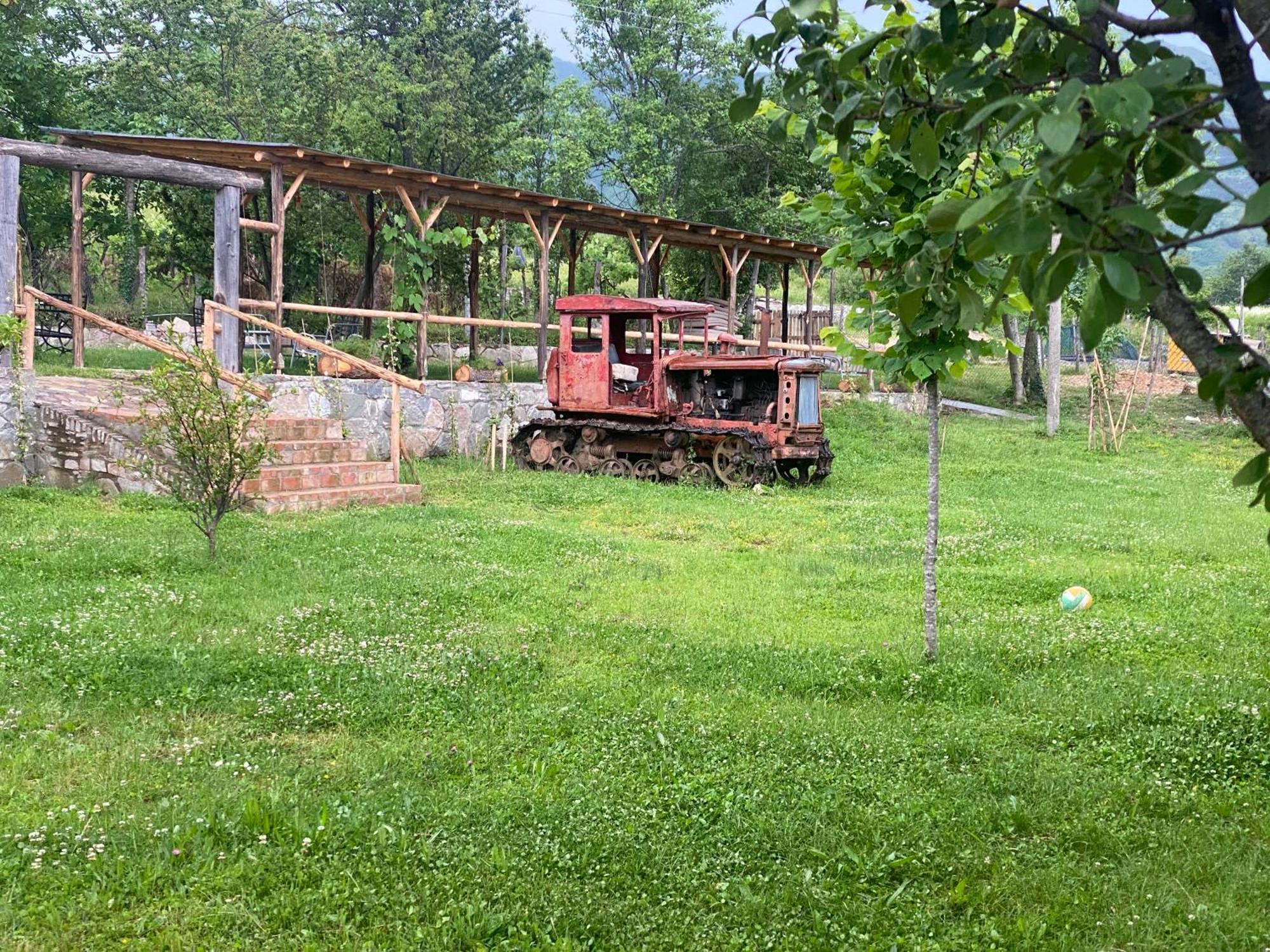 Vila Disha Tirana Bagian luar foto