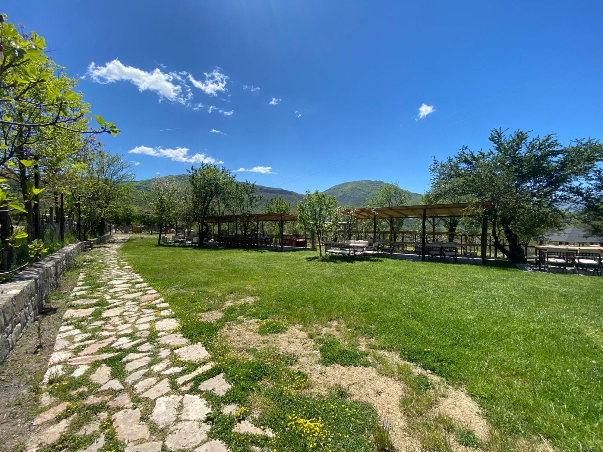 Vila Disha Tirana Bagian luar foto