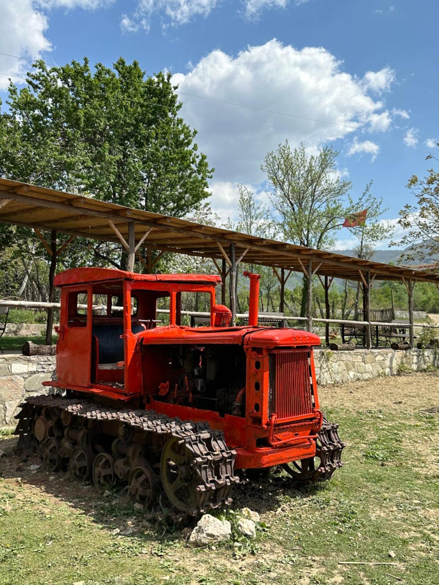 Vila Disha Tirana Bagian luar foto