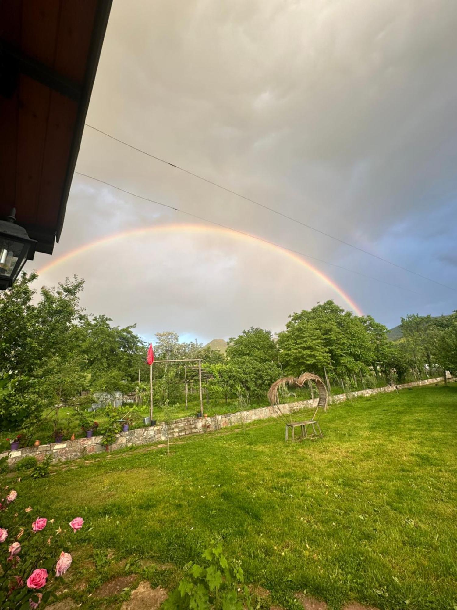 Vila Disha Tirana Bagian luar foto