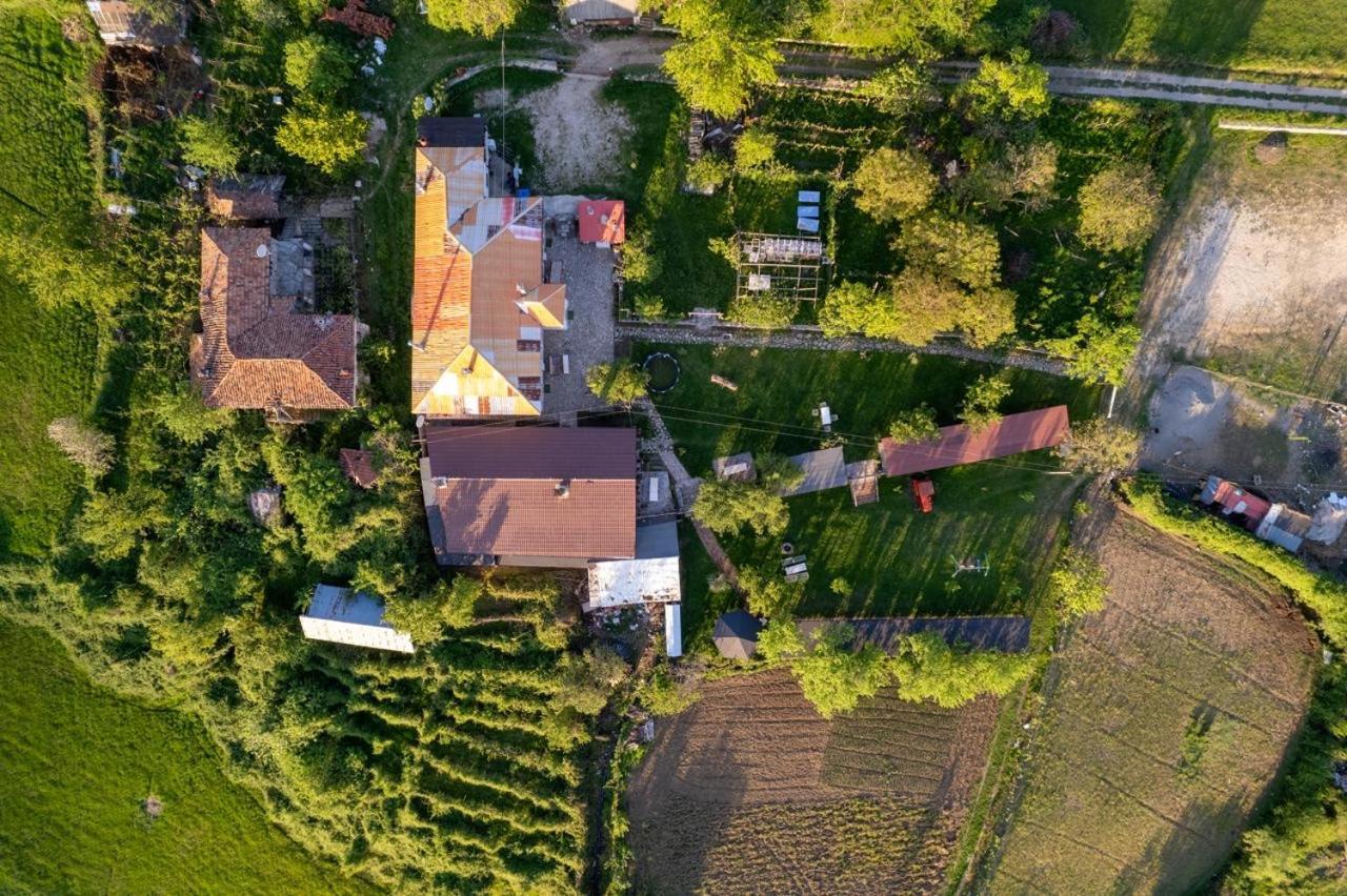 Vila Disha Tirana Bagian luar foto