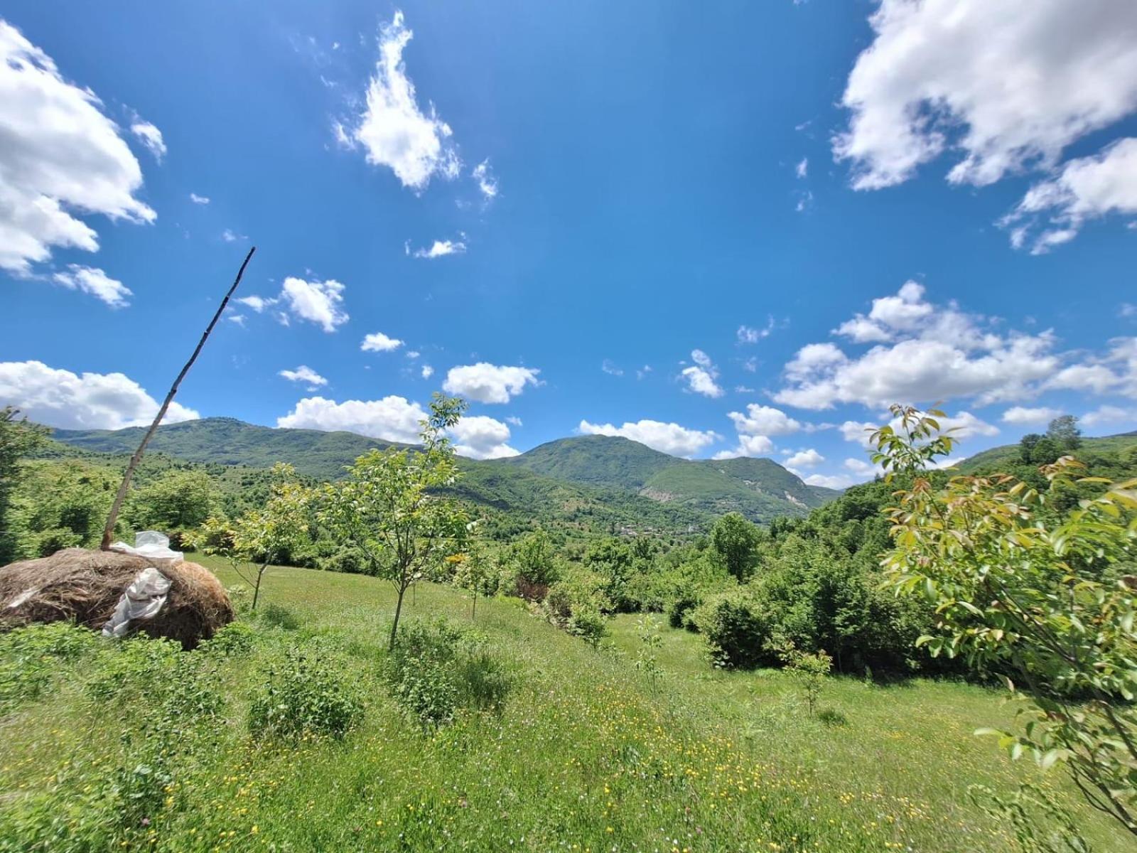 Vila Disha Tirana Bagian luar foto